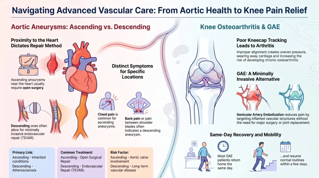 Navigating Advanced Vascular Care